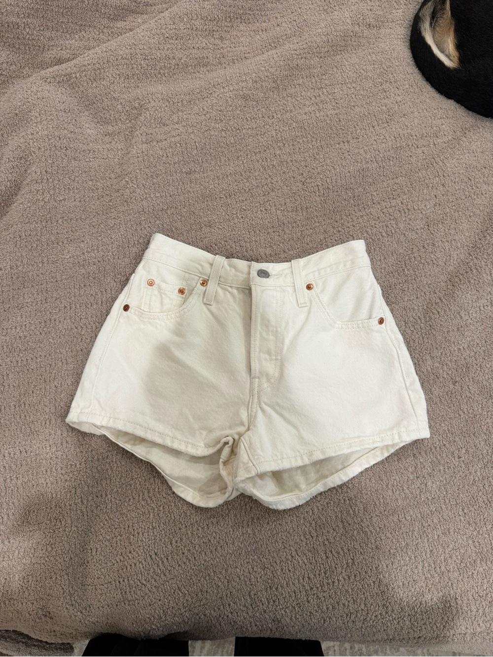 Levi 501 Shorts